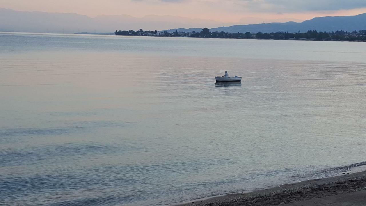 Patras Luxury Seaside House 빌라 외부 사진