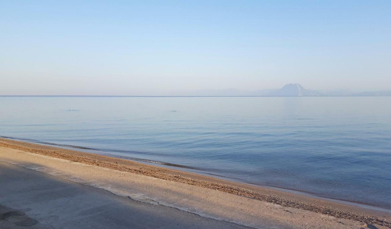 Patras Luxury Seaside House 빌라 외부 사진